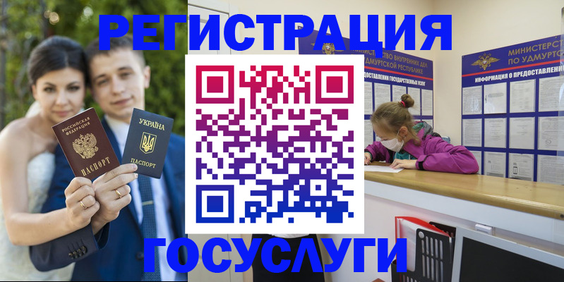 прописка поиск в Курчалом